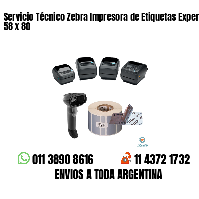 Servicio Técnico Zebra Impresora de Etiquetas Experto 58 x 80