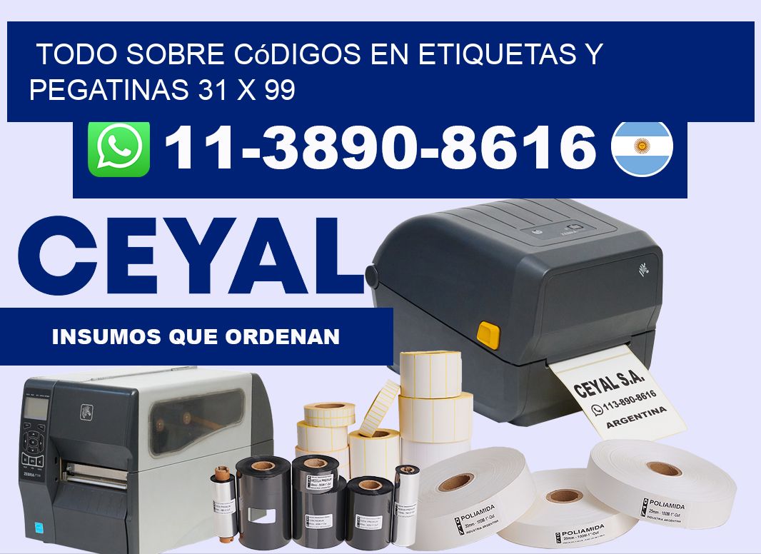 Todo sobre códigos en etiquetas y pegatinas 31 x 99