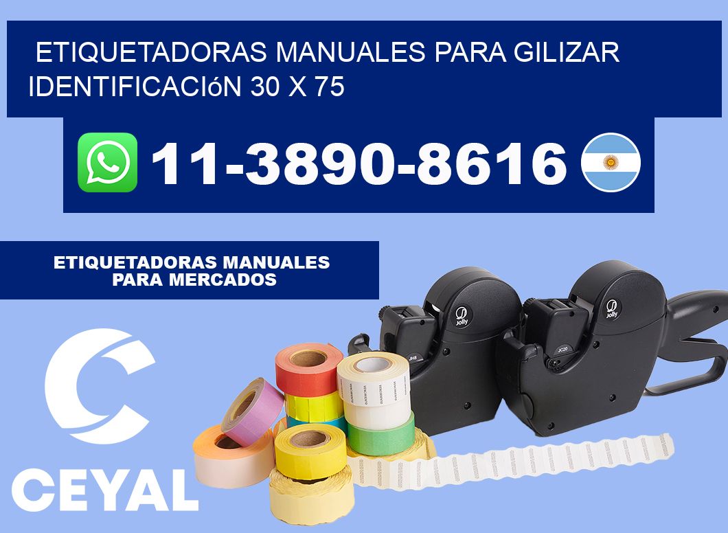 etiquetadoras manuales para gilizar identificación 30 x 75