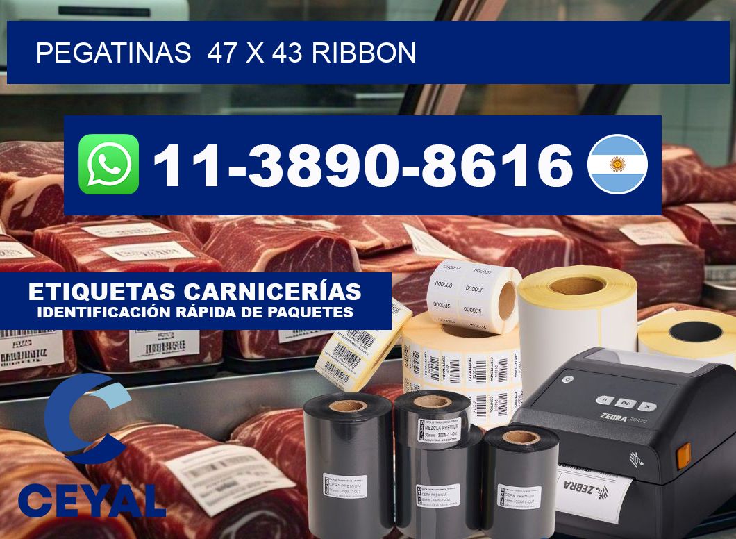pegatinas  47 x 43 ribbon