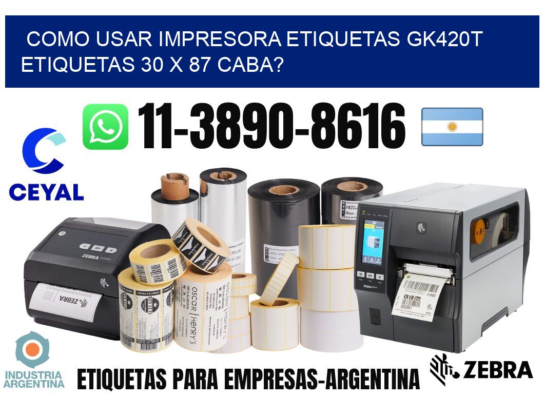 como usar impresora etiquetas gk420t etiquetas 30 x 87 CABA?