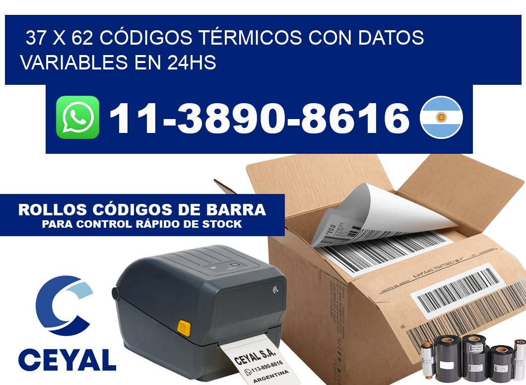 37 x 62 CÓDIGOS TÉRMICOS CON DATOS VARIABLES EN 24HS