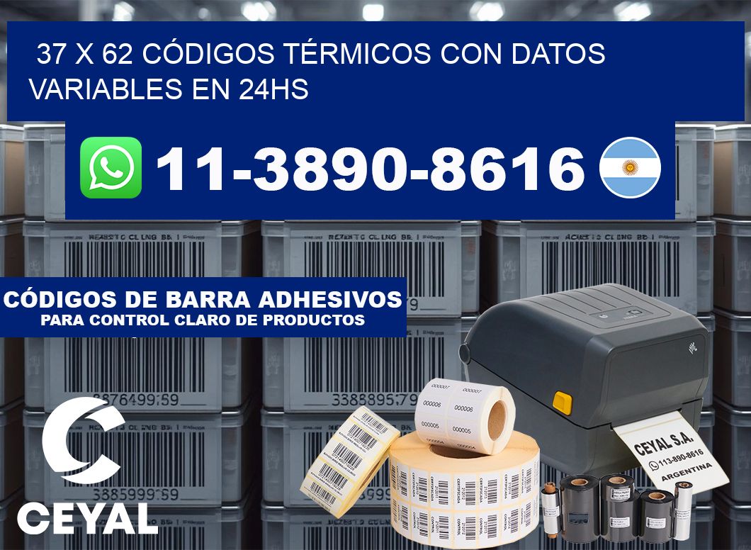 37 x 62 CÓDIGOS TÉRMICOS CON DATOS VARIABLES EN 24HS