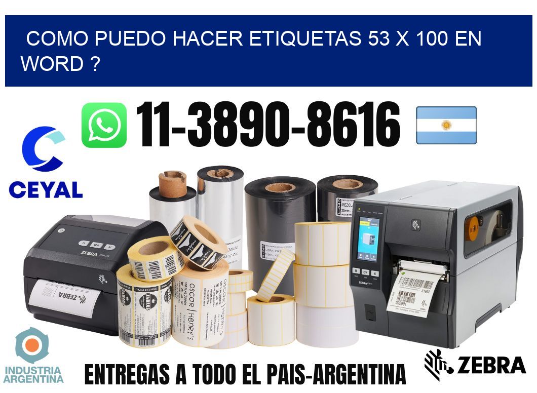 como puedo hacer etiquetas 53 x 100 en word ?