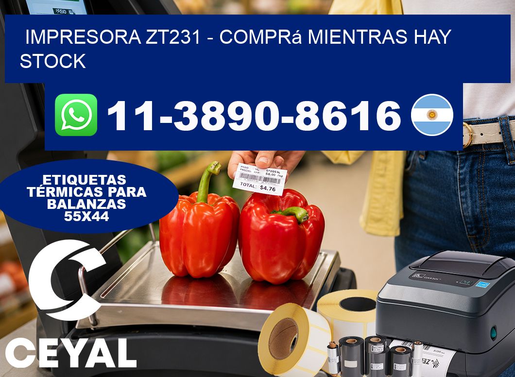IMPRESORA ZT231 - Comprá mientras hay stock