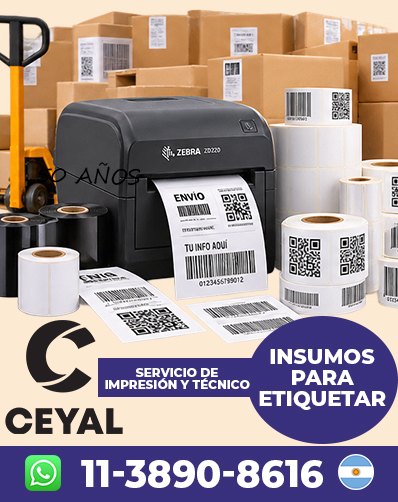 COMO UTILIZAR RIBBON CERA - Encontrá tu solución